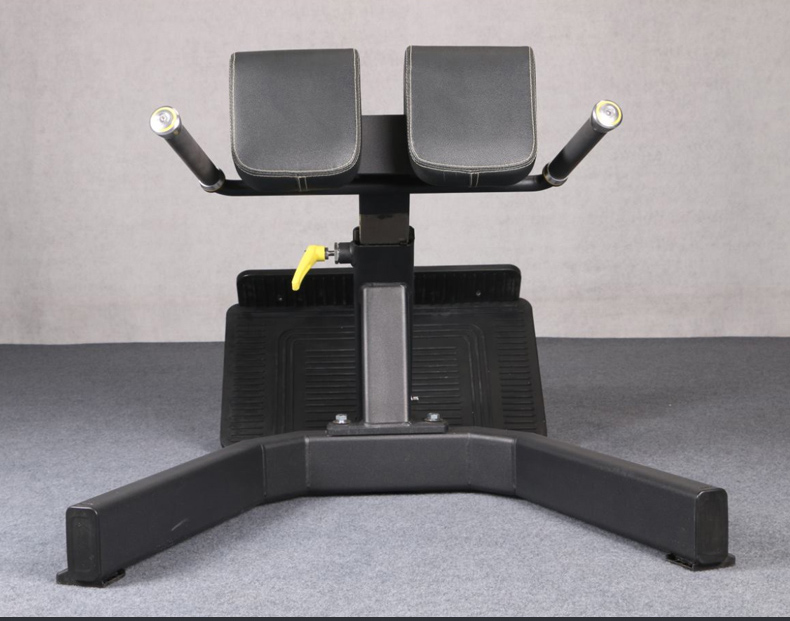 Befreeman Hot Selling Gym Fitness Exeserces 45 Degree Back Extension Machine Roman Chair for Sale