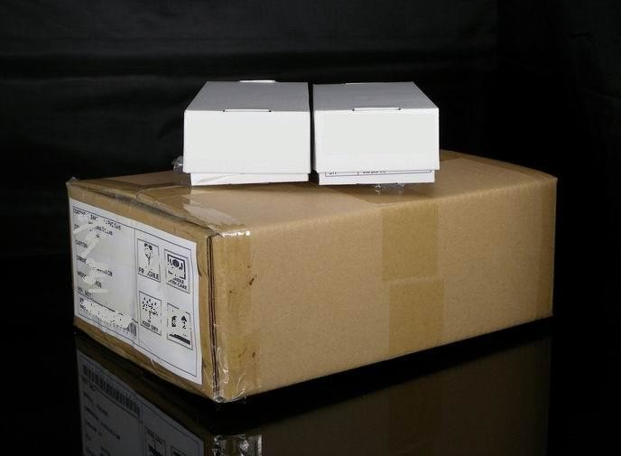 HF RFID Paper Event Tickets Custom Printed With Ultualight EV1 Chip