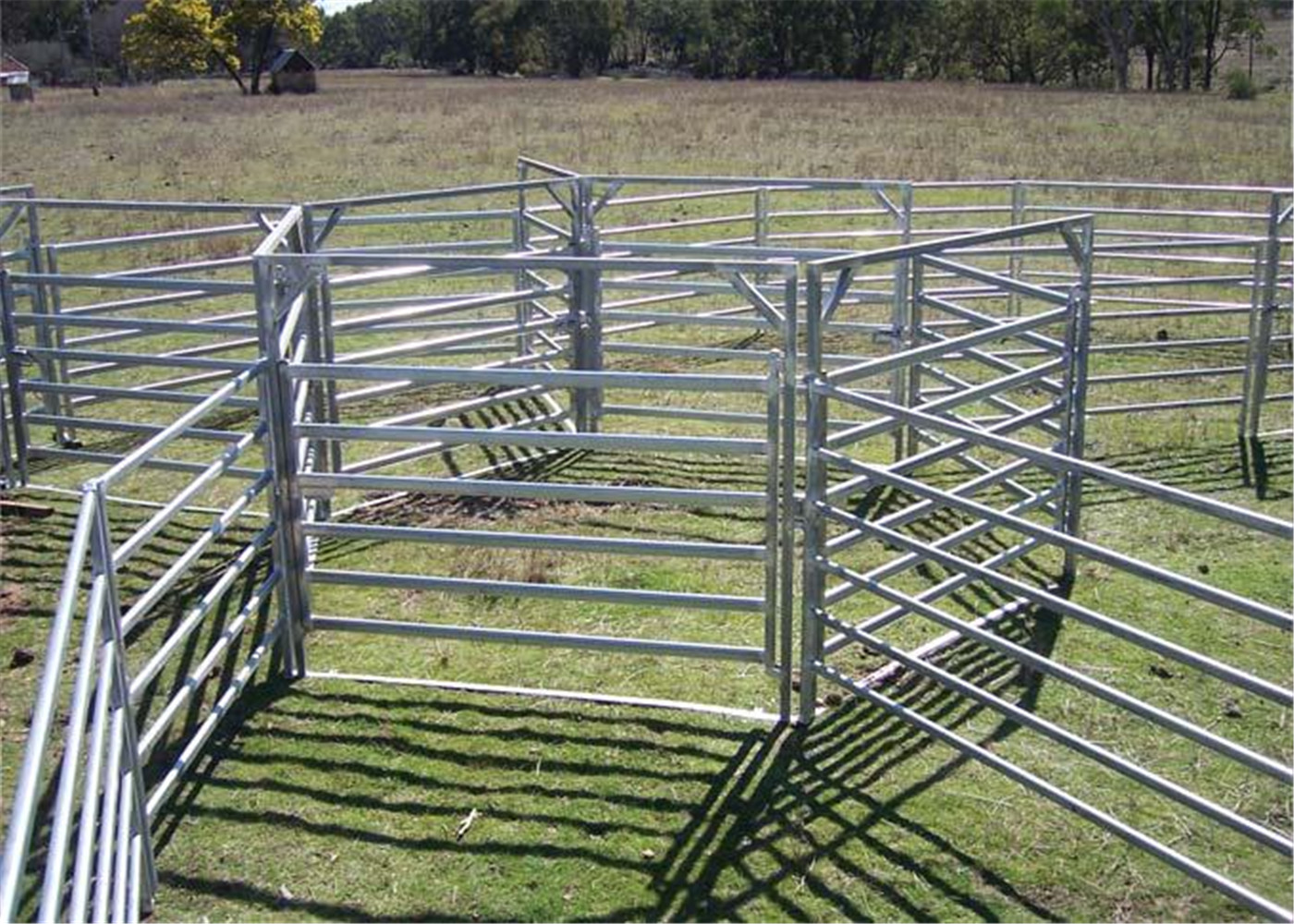 30X60mm Oval Pipe Cattle Livestock Yard Panel