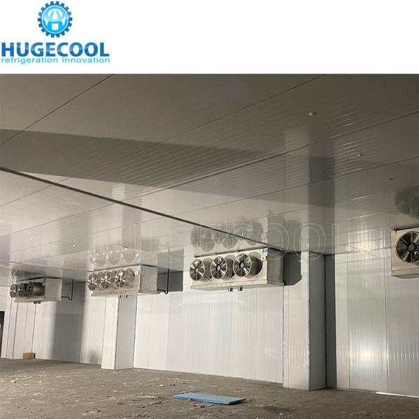 Cold Room Refrigerator Freezer for Frozen Fish/Meat/Shrimps Provide After-sales