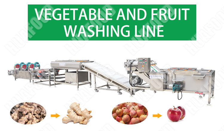 Multifunction Vegetable Cleaning Machine Fruit And Vegetable Processing Machine
