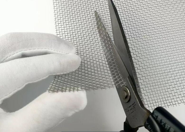 Dust Proof Transparent Stainless Steel Safety Window Screen