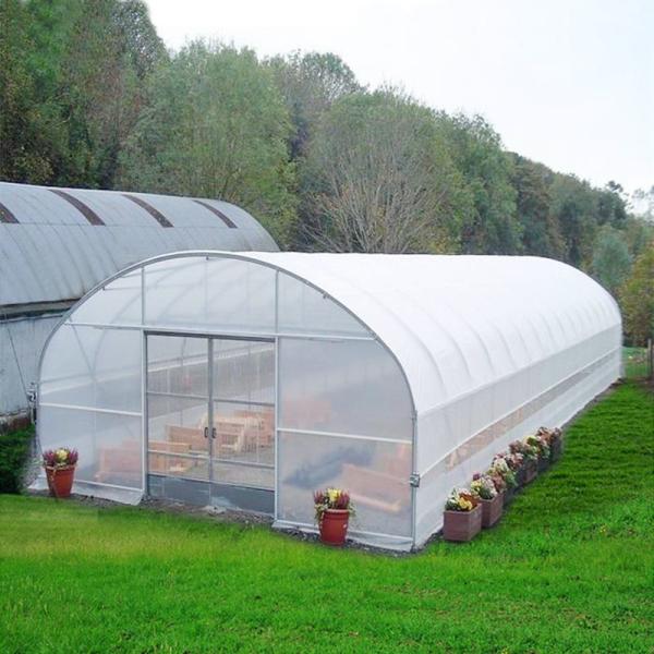 Hydroponic Growing System Single-Span Tunnel Plastic Film Greenhouse Agricultura