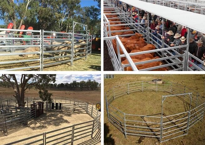 Oval Bar 6ft High Heavy Duty Galvanized Corral Panels For Cattle Feeding