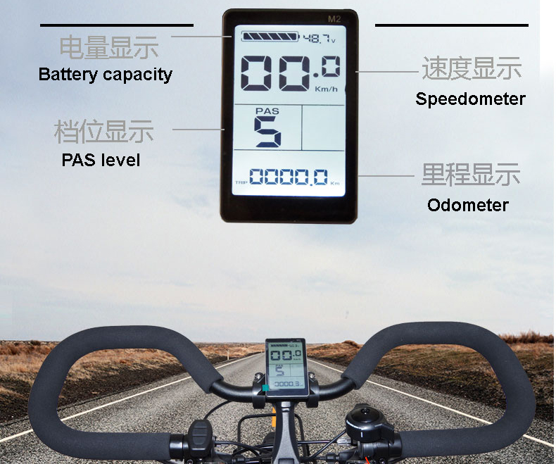 24 Speed Luxury Electric Bicycle 250W 26 Inch E Bike With 48V Lithium Battery