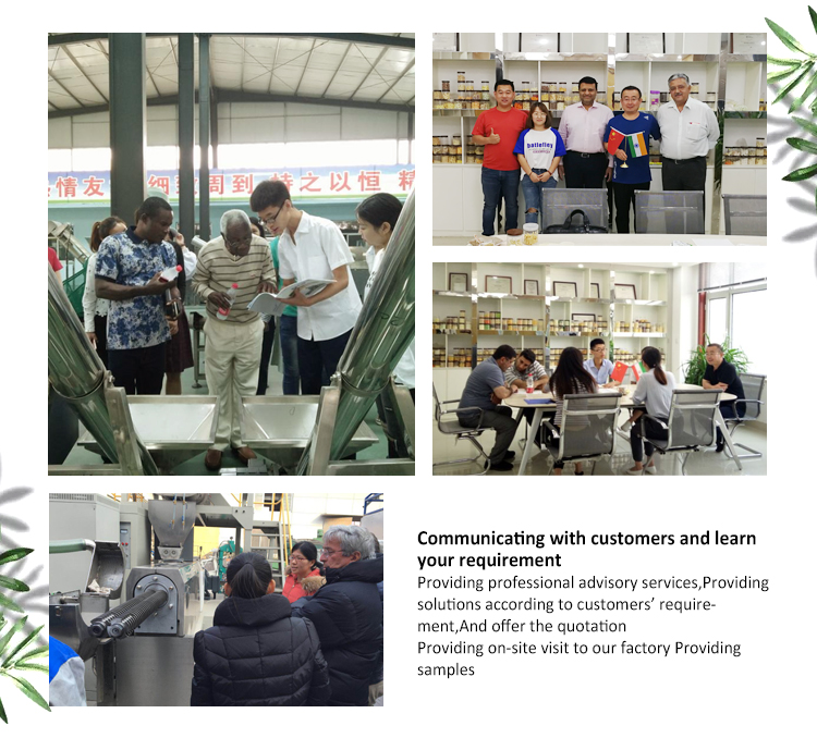110V/220V/380V/415V/440V Popular Pet Food Making Machine for Food Beverage Plant