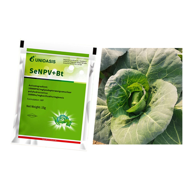 Long Lasting Effect Pesticide SeNPV Bt Farmland Planting Vegetable Field Pest Killing
