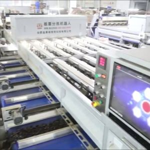 China Labor Saving 3.3 Tons per Hour Chestnut Sorting Machine with Deep learning Technology: Efficient, Labor-Saving, Doubled Benefits on sale China Labor Saving 3.3 Tons per Hour Chestnut Sorting Machine with Deep learning Technology: Efficient, Labor-Saving, Doubled Benefits on sale