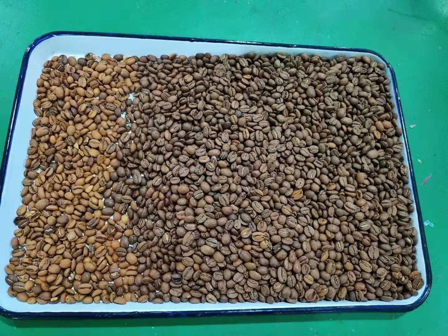 240V 50Hz Roasted Coffee Bean Sorting Machine high speed processing Chip