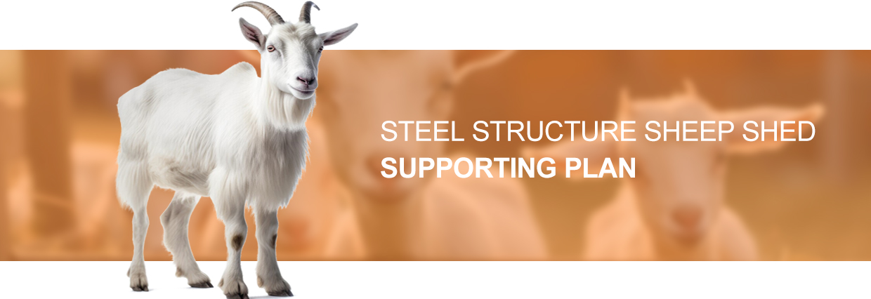 Aluminum Alloy Window Prefab Steel Construction Agricultural Building for Cattle Barn