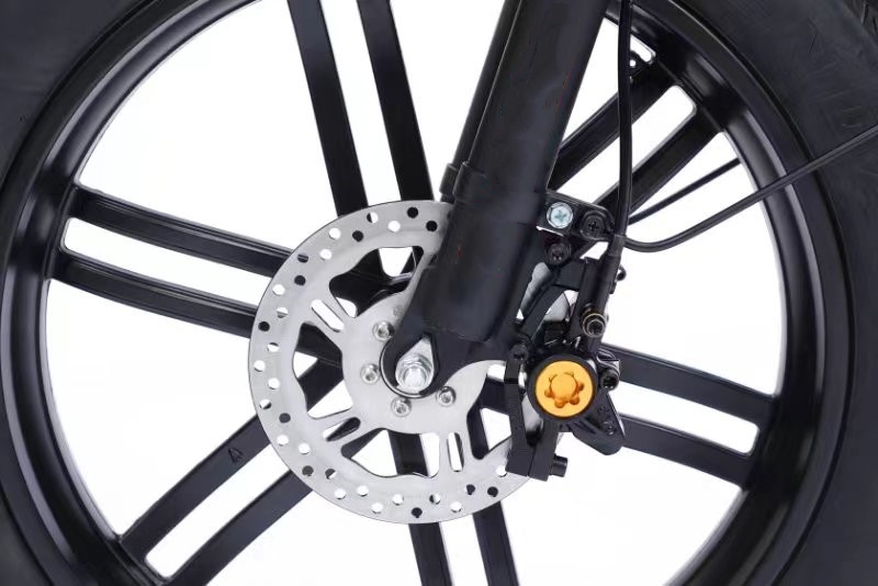 Full Suspension 48V Fat Tire Electric Bike 750W With LCD Display And Rear Hub Motor