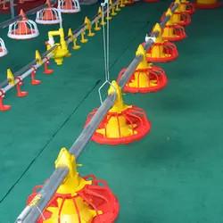  Customized Poultry Chick Line Feeder Broiler House Flooring Tube Chain Conveyor Manufactures