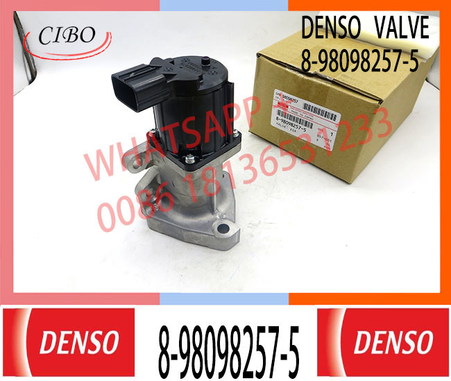 Japan Genuine Neutral 4HK FSR FRR FTR NPR NQR 8-98098257-5 8980982575 1 EGR Valve