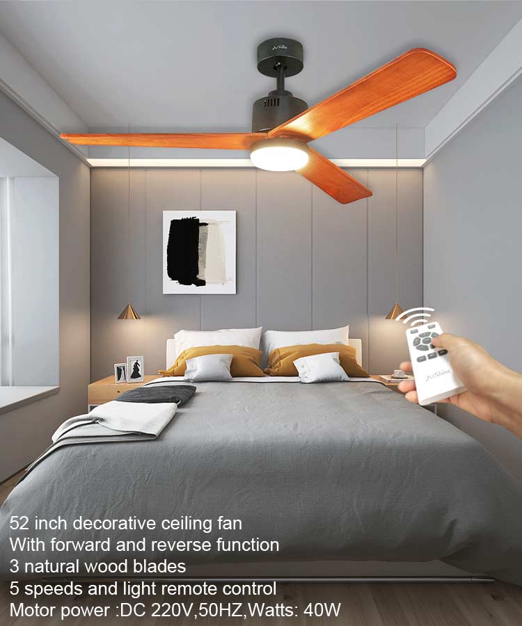 2022 Indoor Decorative BLDC Fan Ceiling Fan Light with Remote Control in Mulit Colors