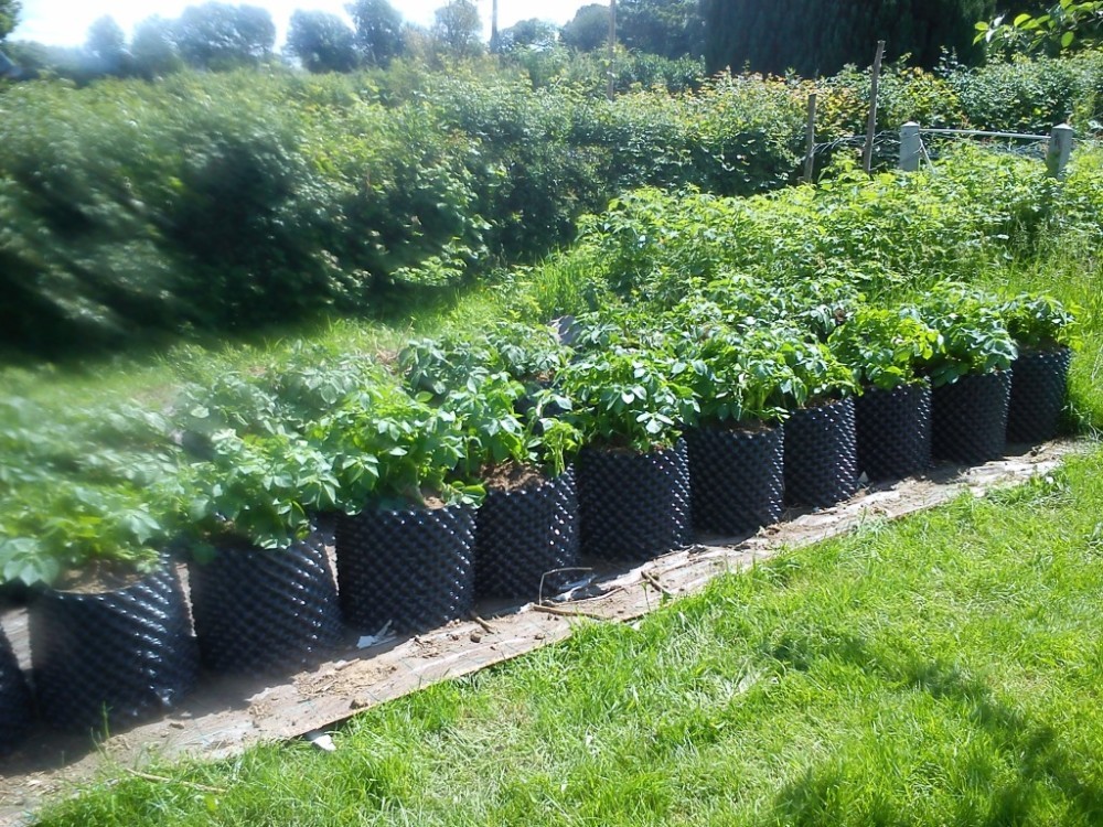 High quality root pot transplant pot for tree pruning root by the air holes
