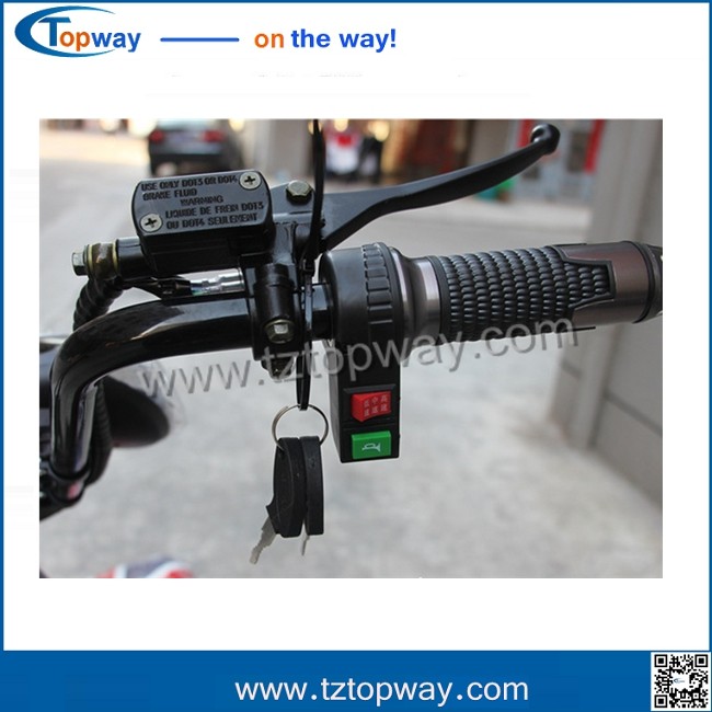 double airbag rear shock absorber 2 wheels Electric Motorcycles citycoco scooter