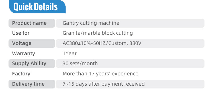 LINSING Gantry Stone Cutter Heavy Duty Block Cutting Machine for Natural Stone 9000 kg