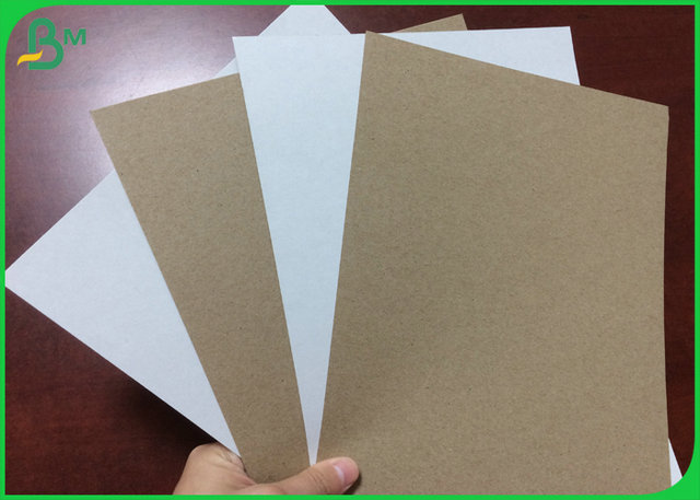 Recycled Pulp Jumbol Roll 170gsm 200gsm C1S Grey Back Paper For Beer Carton 
