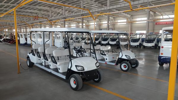 8 Seater Golf Hunting Cart 30 KM/H Battery Operated Electric Golf Buggy Logo