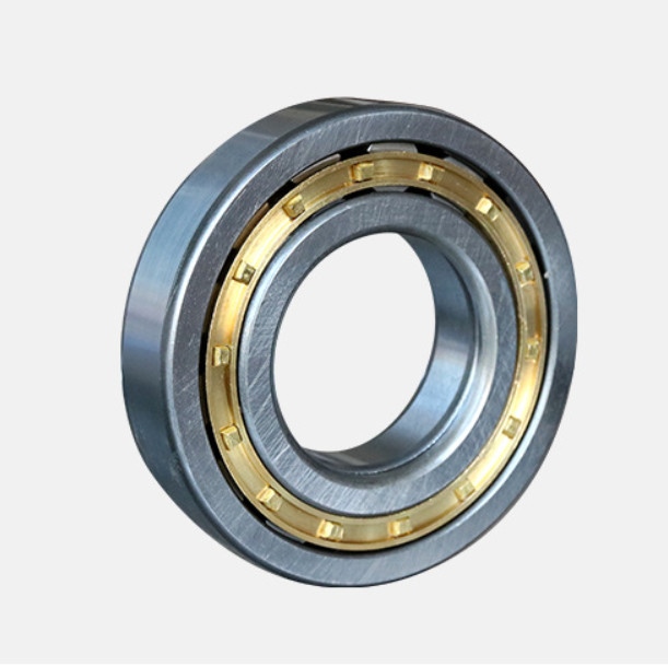 Radial Cylindrical Roller Bearings N216 N218 N220 N200 Series N205 N220