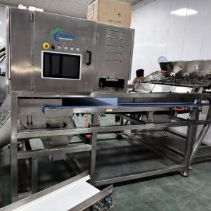 KMS-1000 Optical Separators Intelligent Glass Sorting Machine