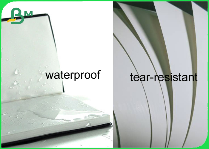 Tearproof Waterproof Stone Paper Rich Mineral Material 120g - 600g