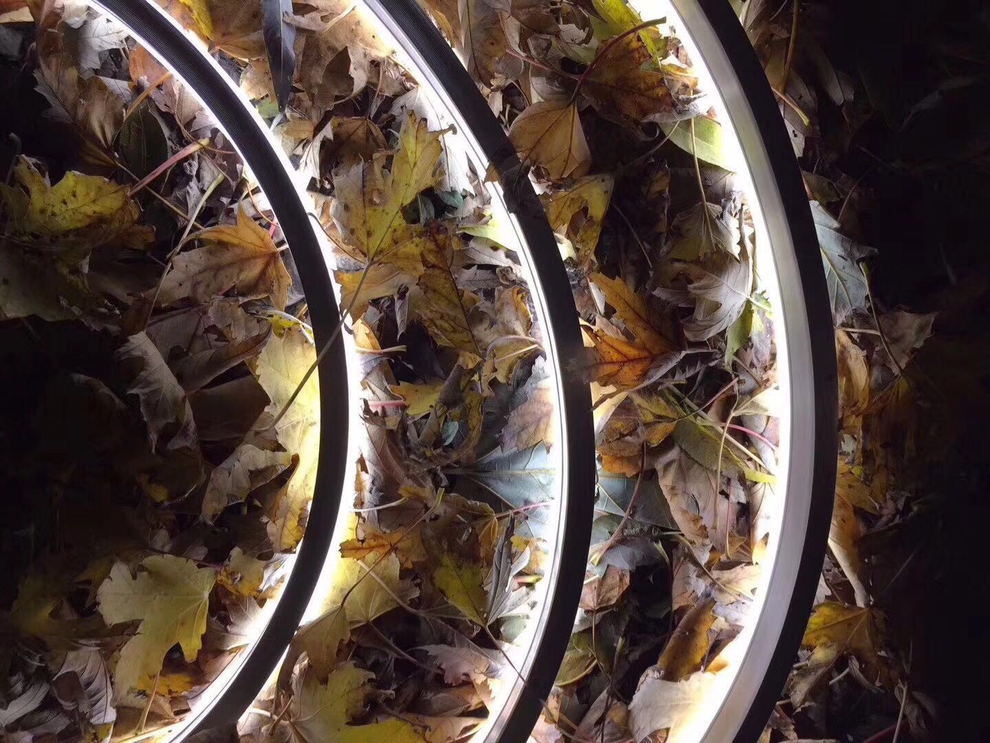 2700K-6500K 24v Led Neon Flex DMX512 Commercial LED Neon Rope Light