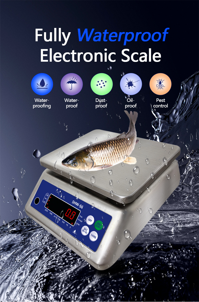 AV220V/50HZ Waterproof Double Screen Electronic Scale 30kg for Customized OBM Support