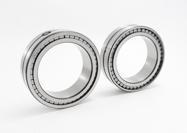 SL02 4830 SL02 4848 Double Row Roller Bearing Cylindrical Radial Non Locating