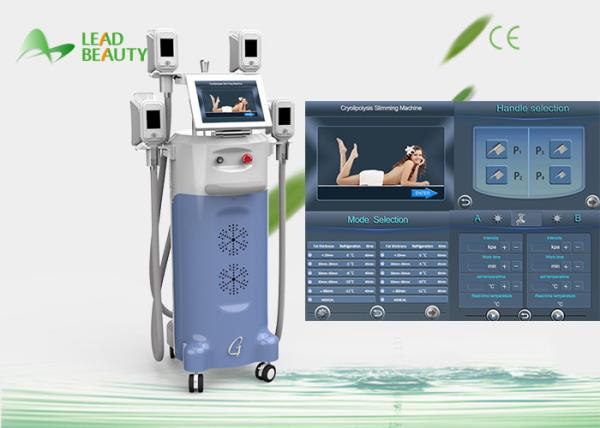 World best selling products Cryolipolysis machine with 4 handles