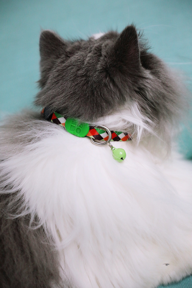 Adjustable Safe Cat Collars With Buckle Fastening And Elastic