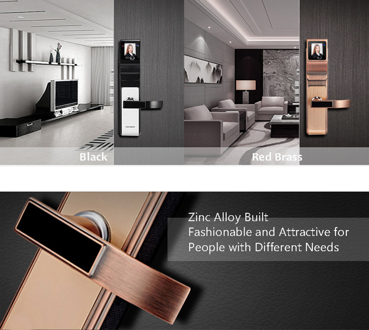 Smart IR 3D Face Recognition Electronic Door Locks / Keyless Entry Door Handle Locks