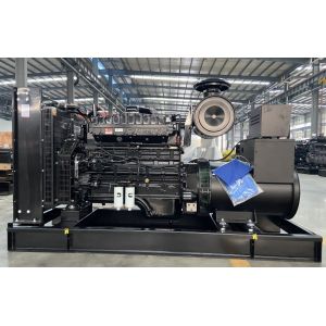 Super Silent Type Cummins 6LTAA8.9-G2 250kva Diesel Generator 200KW Rainproof