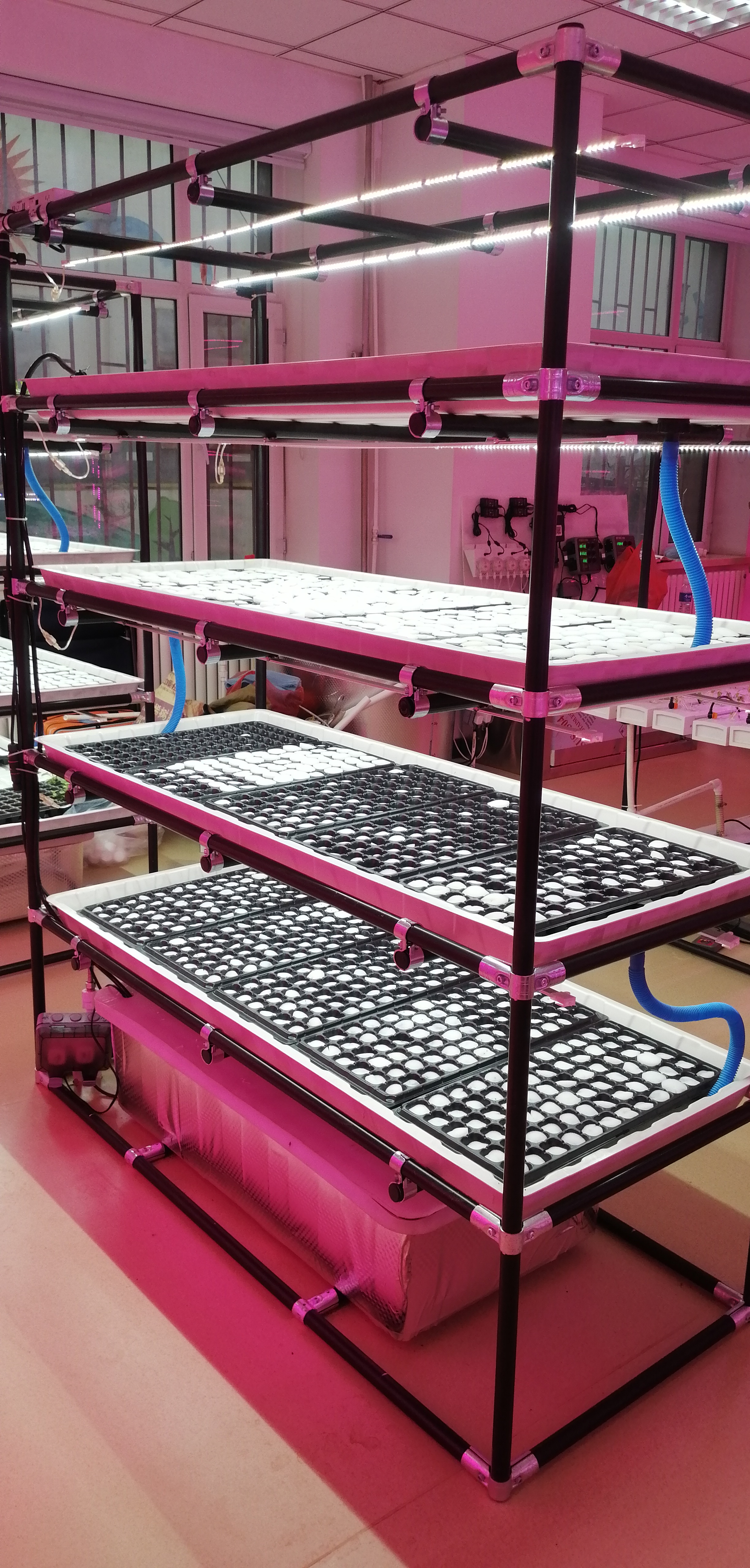 Custom Tables Grow Table Greenhouse Growing Tables Ebb And Flow Tray