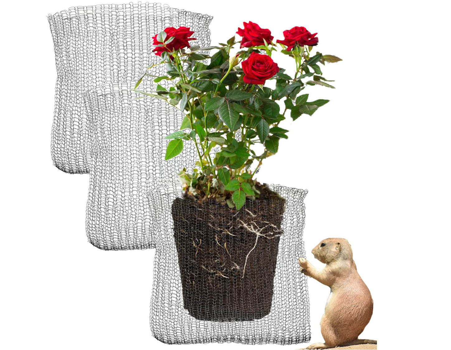 Plant Root Gopher Wire Baskets Stainless Steel Mesh Bag Length Customized