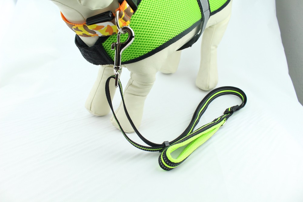 Fashionable Nylon Dog Leash , Reflective Waterproof Pet Dog Traction Belt
