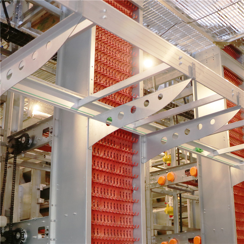 Free Layout Design Egg Layer Cage H Type Galvanized