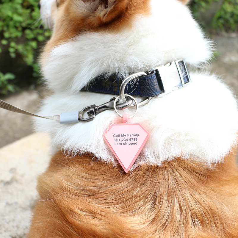 PAISEN Personalized Custom Dog Tags Engraved 3D QR Code Dogs Cat Collar Silicone Pet Tag