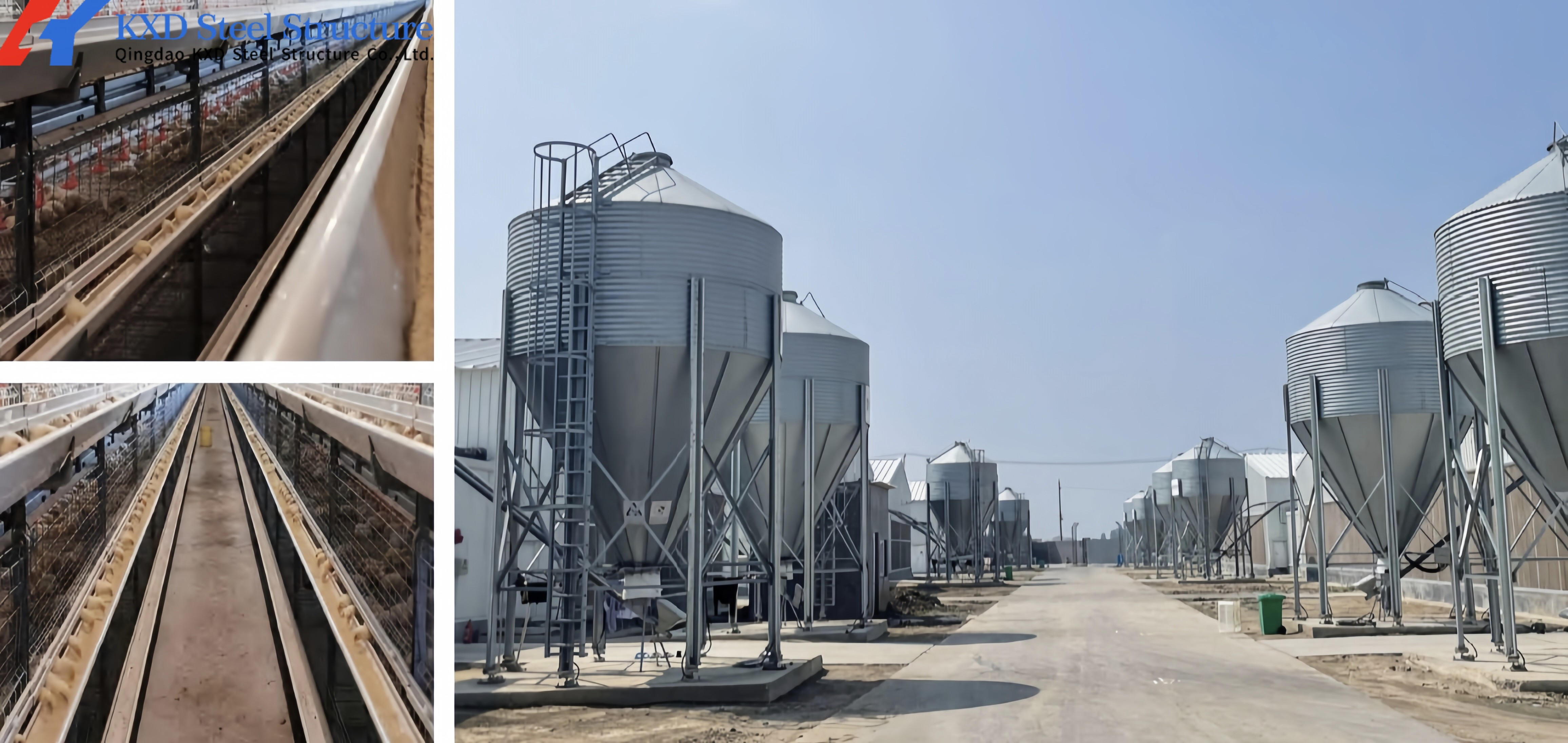Poultry Farm Chicken Feeding Line Automatic Poultry Pan Feeding System