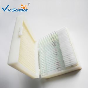 Kids School Laboratory Euipments 25pcs Microscope Glass Slides