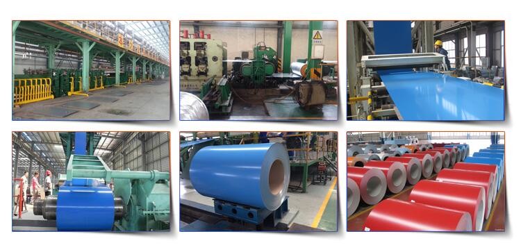 ASTM A755M Ppgi Prepainted Gi Steel Coil Popular Little Grass Pattern