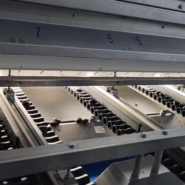 Smart Dates Sorting Machine, Powered by AI, High Precision, 8 lanes+10 outlets,
