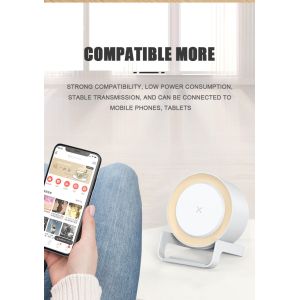 4 in 1 Multi-Funcational Night Light Bluetooth Speaker With Wireless Charging