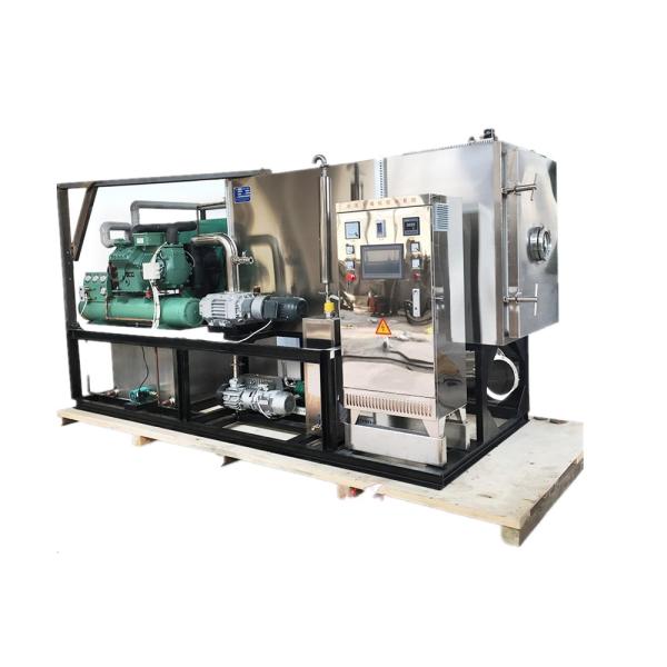 Cosmetics Vacuum Freeze Drying Equipment Peptide Protein Lyophilizer Freeze