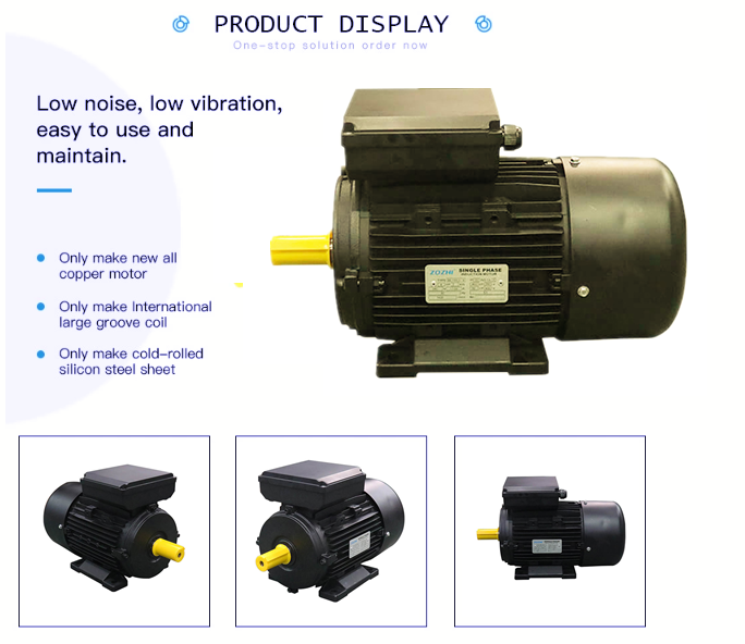 single phase induction motor