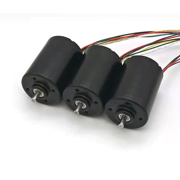 Faradyi Hot Sale High Speed 12V DC Motor Customizable Driver Brushless DC Motor