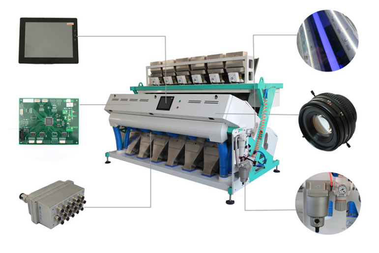 Professional Seeds Automatic Colour Sorting Machine With 1 Year Warranty
