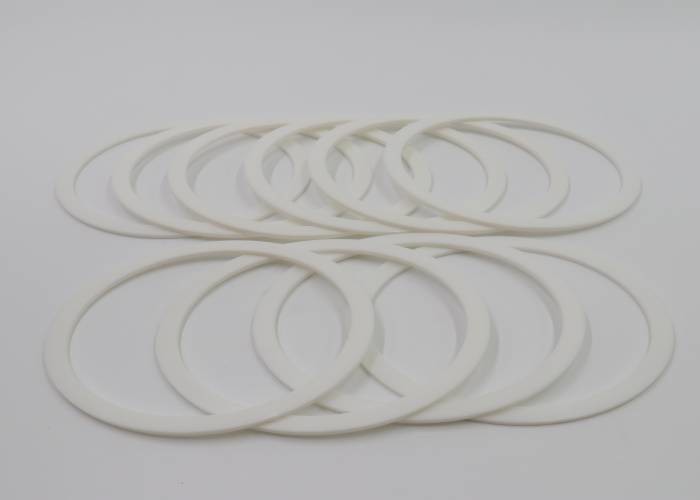 Oil Resistant Excavator Spare Parts BRT ABA White FKM EPDM Oil Seal