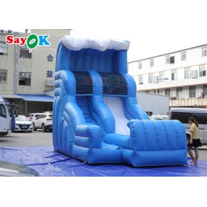 Wet Dry Inflatable Slide Commercial Water Inflatable Slide Bounce Backyard
