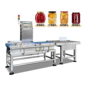 Automatic Check Weigher with Touch Screen for Packaging Lines